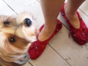 Raggamuffin slippers to match dog!